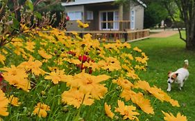 Tsitsikamma Garden Chalets
